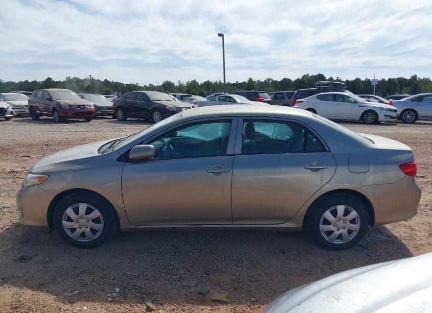 Photo 14 of 2010 Toyota Corolla LE (VIN 2T1BU4EE7AC490758)