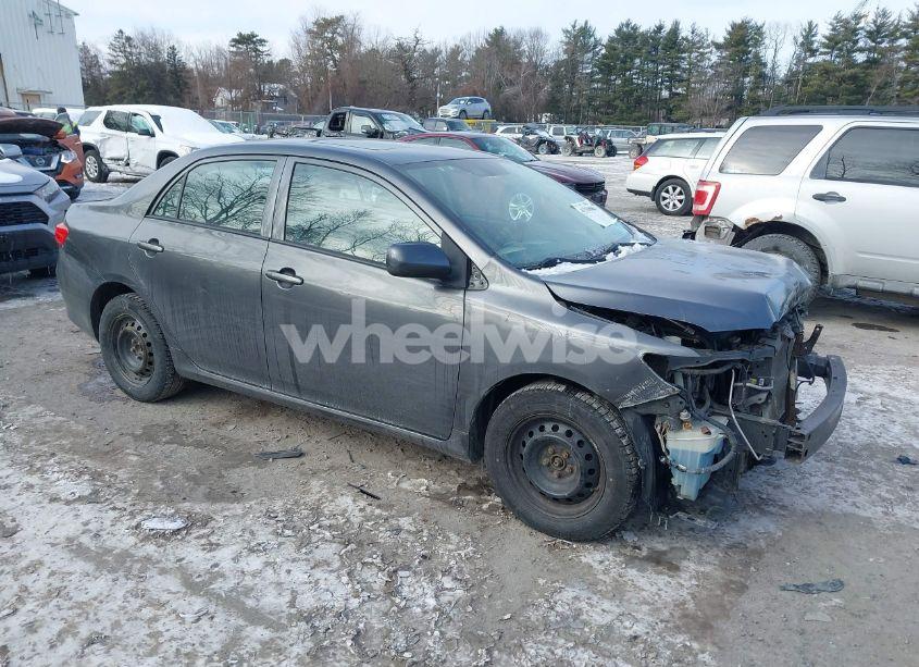 2010 Toyota Corolla LE (VIN 2T1BU4EE7AC501113) main photo