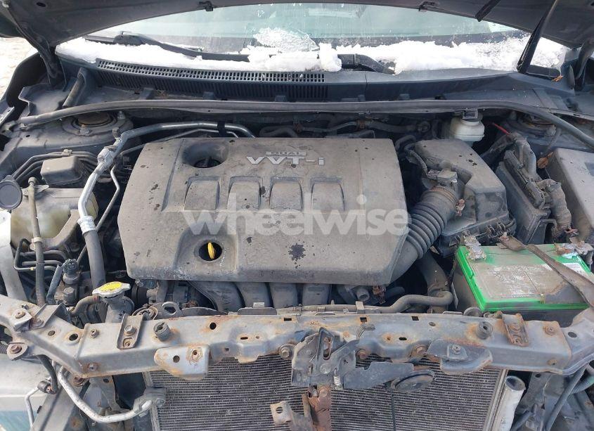 Photo 10 of 2010 Toyota Corolla LE (VIN 2T1BU4EE7AC501113)