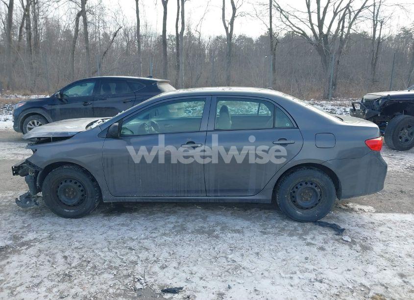 Photo 14 of 2010 Toyota Corolla LE (VIN 2T1BU4EE7AC501113)