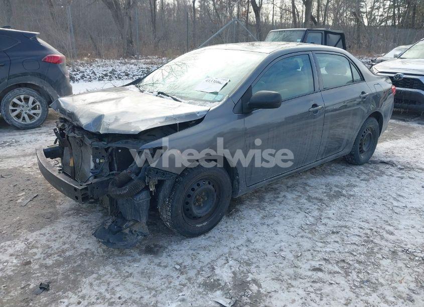 Photo 2 of 2010 Toyota Corolla LE (VIN 2T1BU4EE7AC501113)