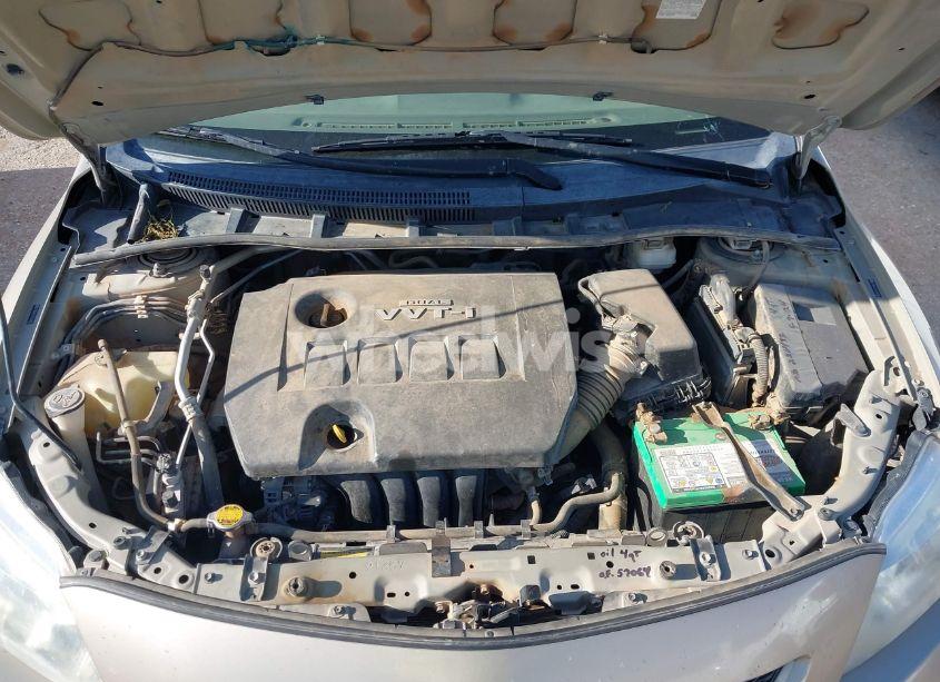 Photo 10 of 2010 Toyota Corolla LE (VIN 2T1BU4EE7AC508188)