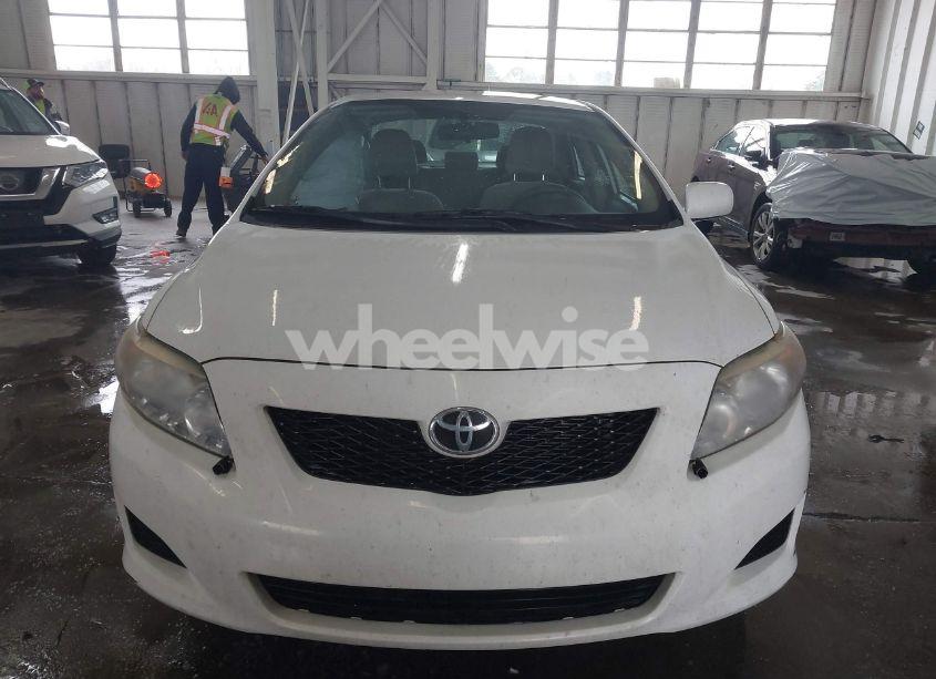 Photo 12 of 2010 Toyota Corolla LE (VIN 2T1BU4EE7AC517991)