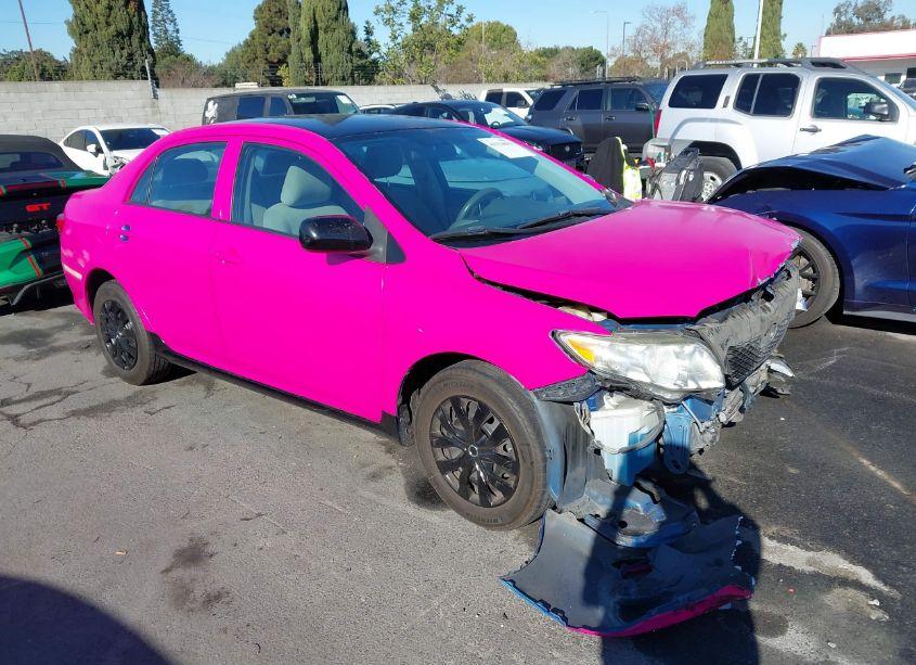 2010 Toyota Corolla LE (VIN 2T1BU4EE7AC523063) main photo