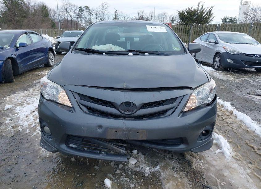 Photo 12 of 2011 Toyota Corolla S (VIN 2T1BU4EE7BC590652)