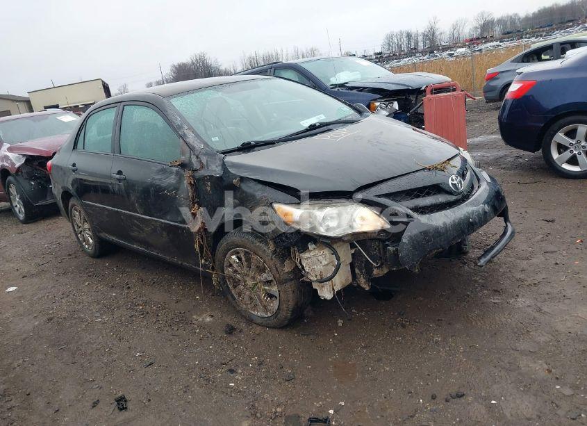 2011 Toyota Corolla LE (VIN 2T1BU4EE7BC715732) main photo