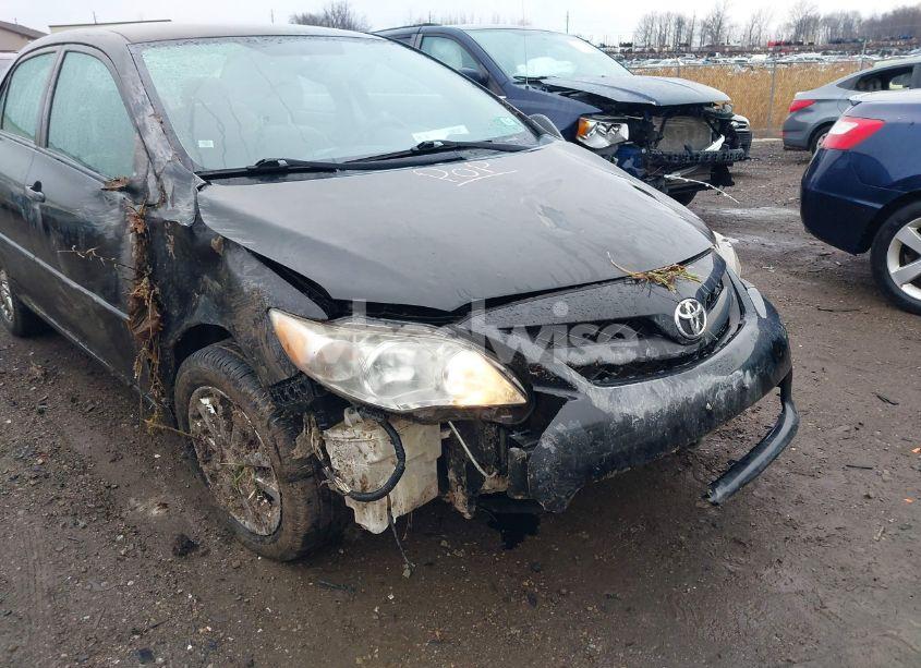 Photo 6 of 2011 Toyota Corolla LE (VIN 2T1BU4EE7BC715732)