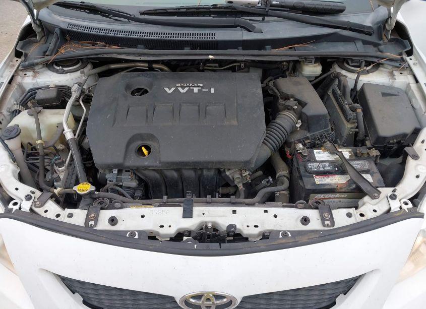 Photo 10 of 2010 Toyota Corolla LE (VIN 2T1BU4EE8AC234774)