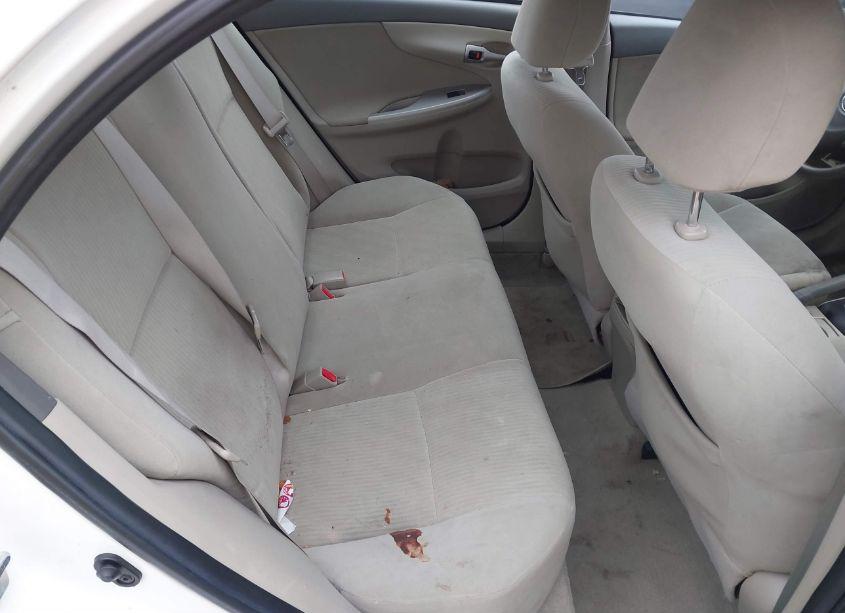 Photo 8 of 2010 Toyota Corolla LE (VIN 2T1BU4EE8AC234774)