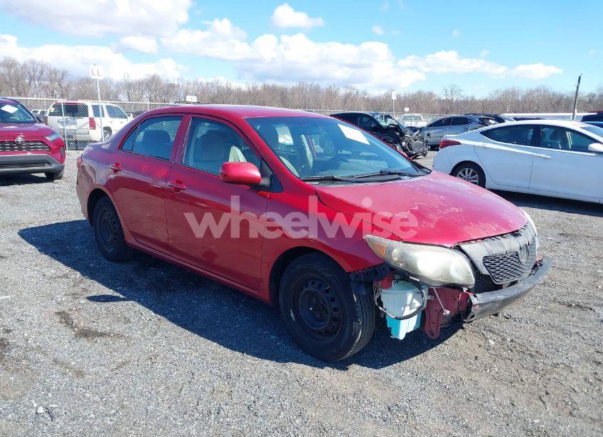 2010 Toyota Corolla LE (VIN 2T1BU4EE8AC304998) main photo