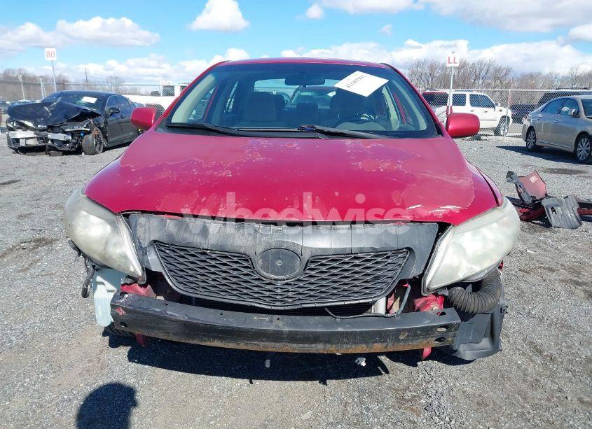 Photo 12 of 2010 Toyota Corolla LE (VIN 2T1BU4EE8AC304998)