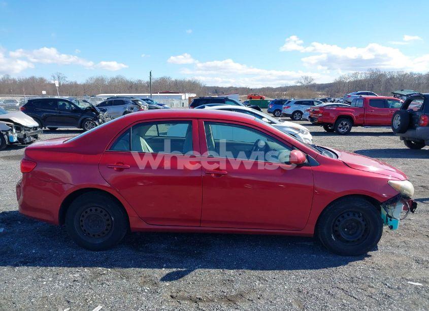 Photo 13 of 2010 Toyota Corolla LE (VIN 2T1BU4EE8AC304998)