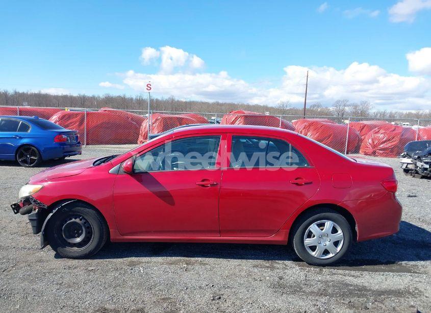 Photo 14 of 2010 Toyota Corolla LE (VIN 2T1BU4EE8AC304998)