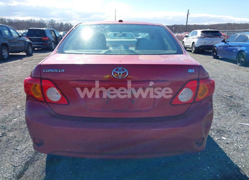 Photo 16 of 2010 Toyota Corolla LE (VIN 2T1BU4EE8AC304998)