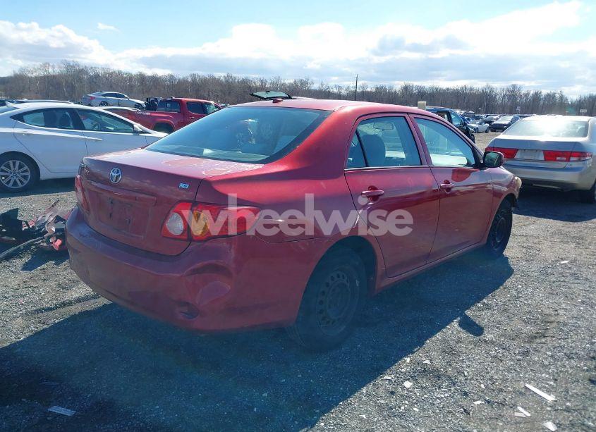 Photo 4 of 2010 Toyota Corolla LE (VIN 2T1BU4EE8AC304998)