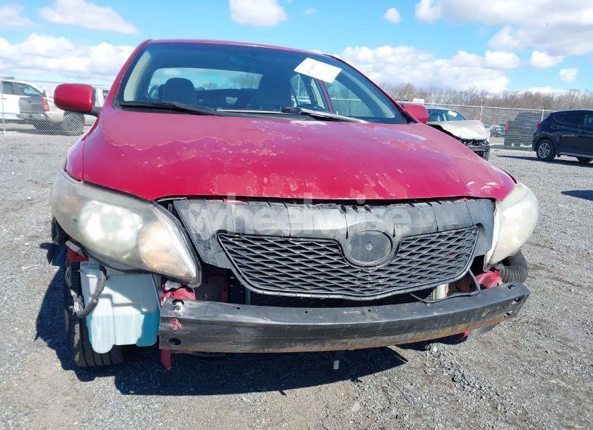 Photo 6 of 2010 Toyota Corolla LE (VIN 2T1BU4EE8AC304998)