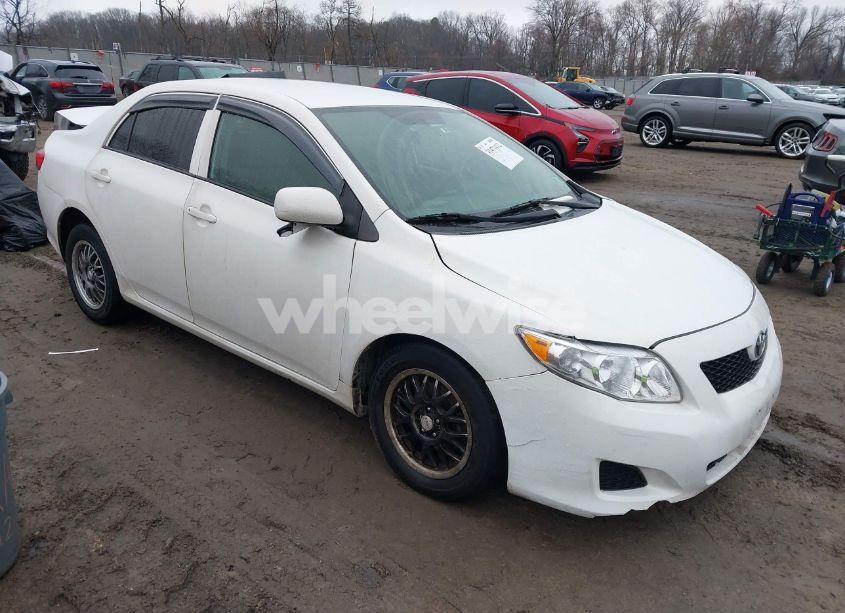 2010 Toyota Corolla LE (VIN 2T1BU4EE8AC332042) main photo