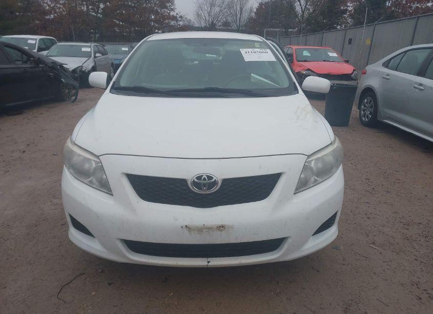 Photo 12 of 2010 Toyota Corolla LE (VIN 2T1BU4EE8AC337726)
