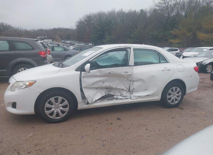 Photo 14 of 2010 Toyota Corolla LE (VIN 2T1BU4EE8AC337726)