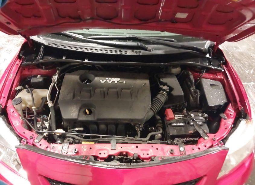 Photo 10 of 2010 Toyota Corolla LE (VIN 2T1BU4EE8AC412022)