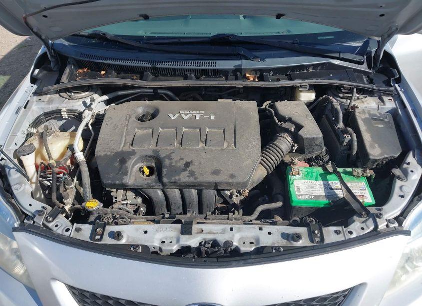 Photo 10 of 2010 Toyota Corolla LE (VIN 2T1BU4EE8AC413347)