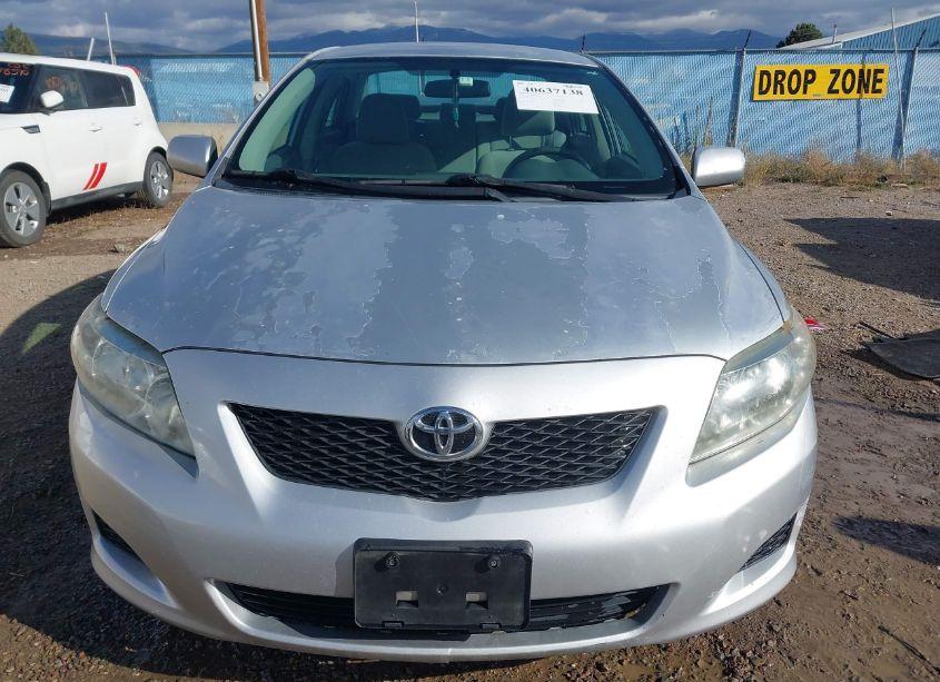 Photo 12 of 2010 Toyota Corolla LE (VIN 2T1BU4EE8AC413347)