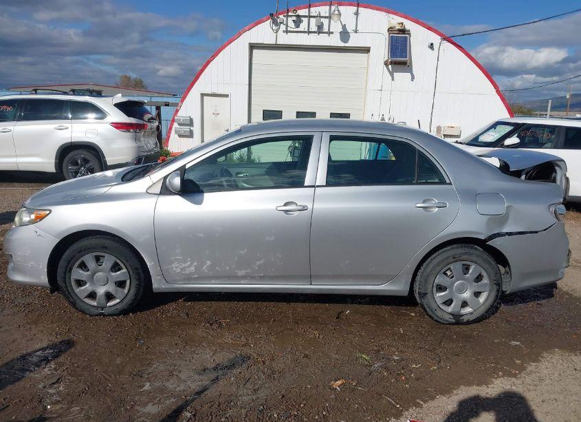 Photo 14 of 2010 Toyota Corolla LE (VIN 2T1BU4EE8AC413347)