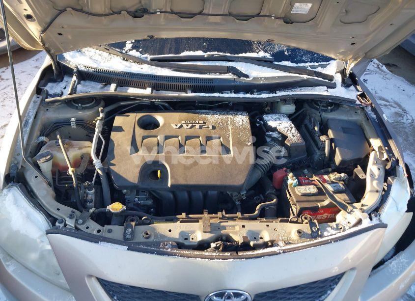 Photo 10 of 2010 Toyota Corolla LE (VIN 2T1BU4EE8AC501802)