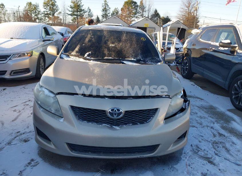 Photo 12 of 2010 Toyota Corolla LE (VIN 2T1BU4EE8AC501802)