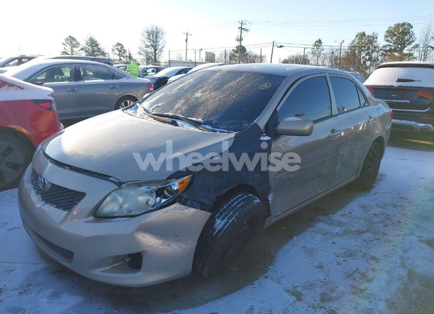 Photo 2 of 2010 Toyota Corolla LE (VIN 2T1BU4EE8AC501802)