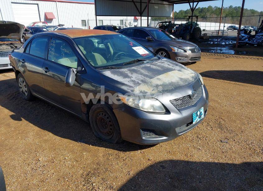 2010 Toyota Corolla LE (VIN 2T1BU4EE8AC505395) main photo
