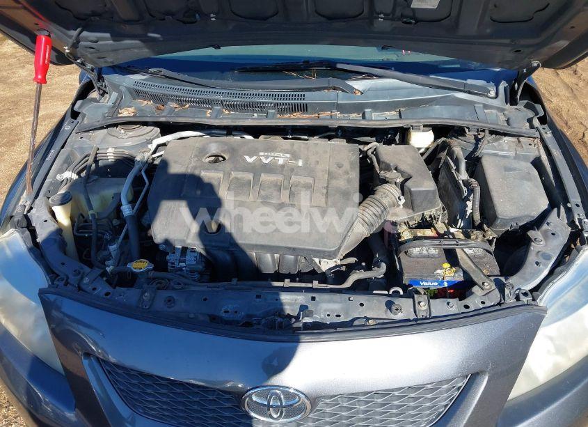 Photo 10 of 2010 Toyota Corolla LE (VIN 2T1BU4EE8AC505395)