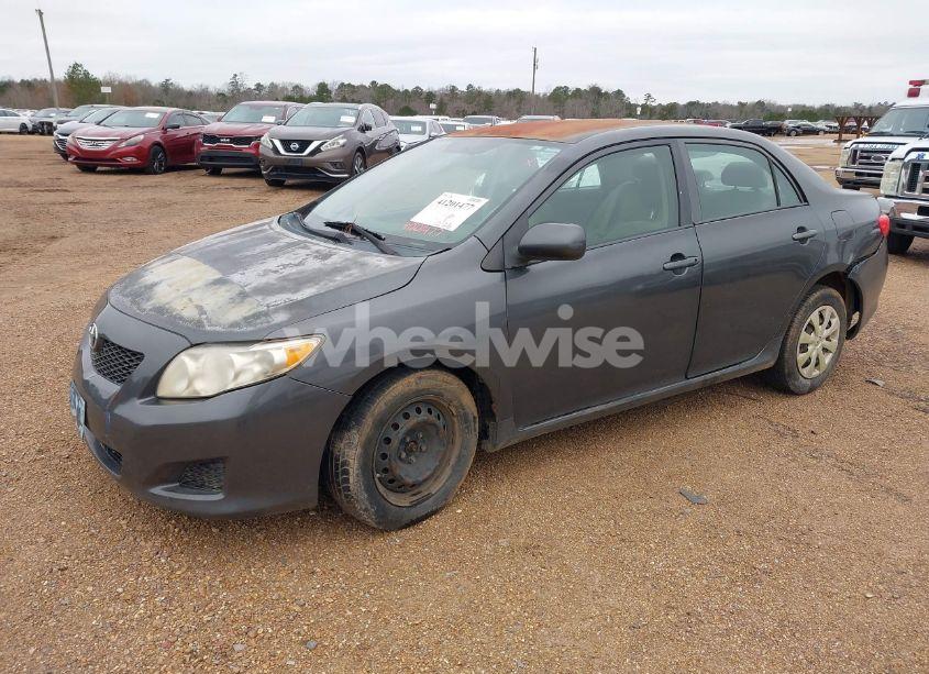 Photo 2 of 2010 Toyota Corolla LE (VIN 2T1BU4EE8AC505395)