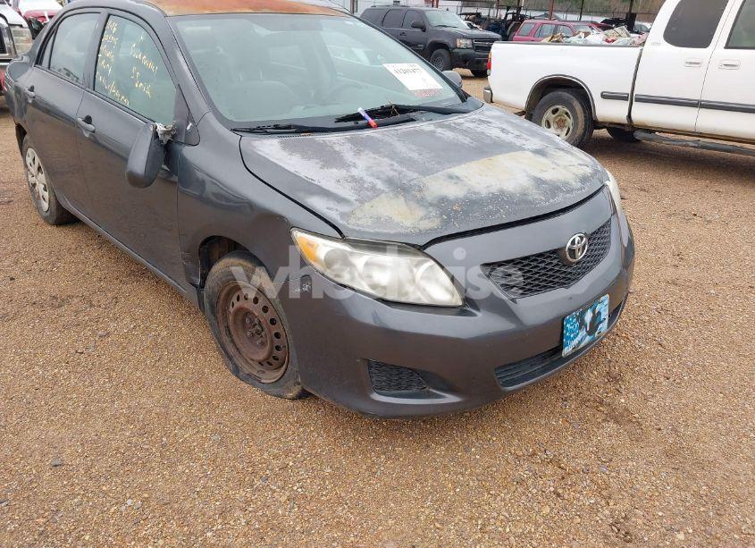 Photo 6 of 2010 Toyota Corolla LE (VIN 2T1BU4EE8AC505395)