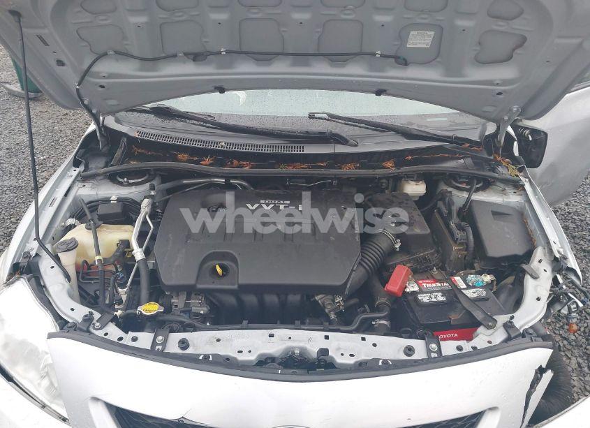 Photo 10 of 2010 Toyota Corolla LE (VIN 2T1BU4EE8AC507339)