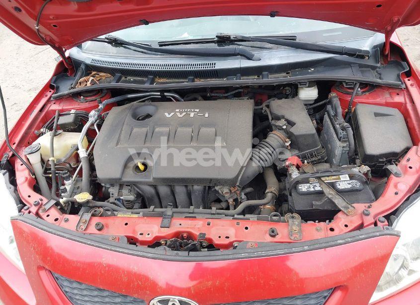 Photo 10 of 2010 Toyota Corolla LE (VIN 2T1BU4EE8AC517689)