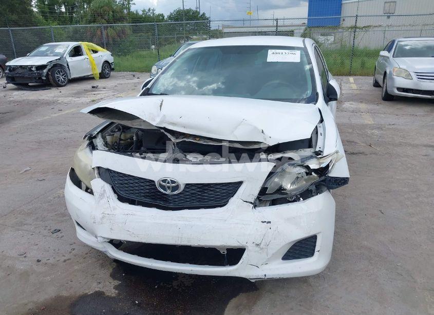 Photo 6 of 2010 Toyota Corolla LE (VIN 2T1BU4EE8AC525162)