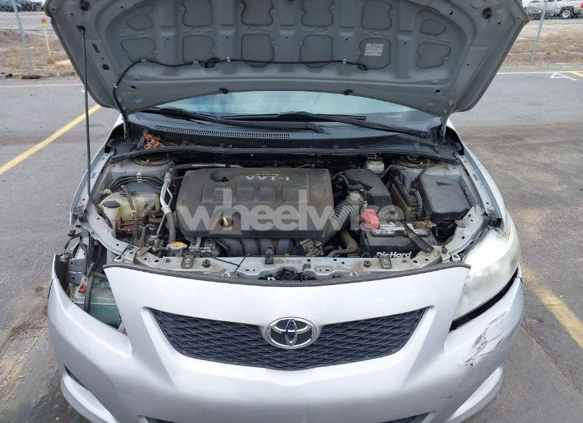 Photo 10 of 2010 Toyota Corolla LE (VIN 2T1BU4EE8AC527803)