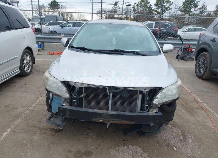 Photo 12 of 2011 Toyota Corolla LE (VIN 2T1BU4EE8BC567462)