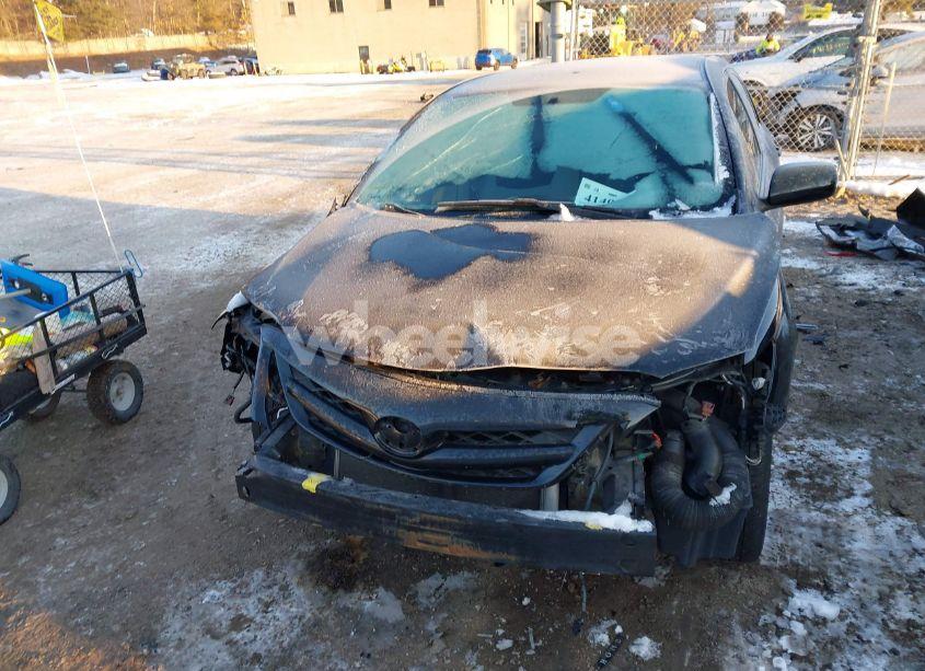 Photo 12 of 2011 Toyota Corolla LE (VIN 2T1BU4EE8BC649479)