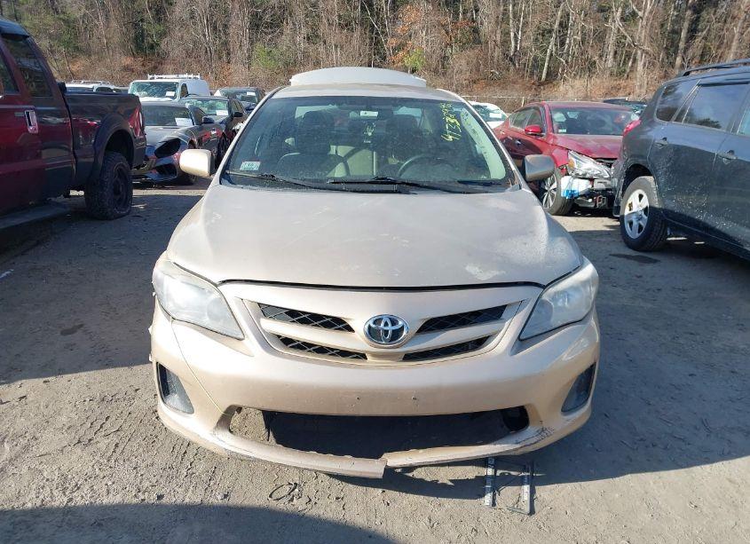 Photo 12 of 2011 Toyota Corolla LE (VIN 2T1BU4EE8BC710622)