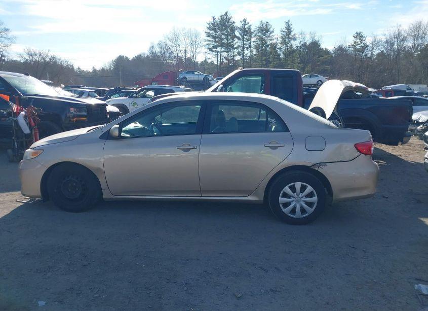 Photo 14 of 2011 Toyota Corolla LE (VIN 2T1BU4EE8BC710622)