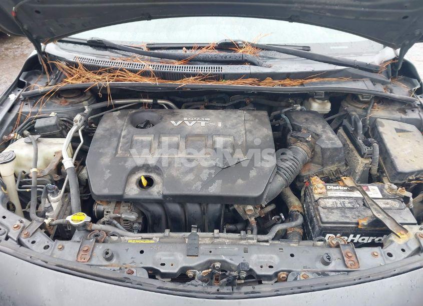 Photo 10 of 2010 Toyota Corolla S (VIN 2T1BU4EE9AC202366)