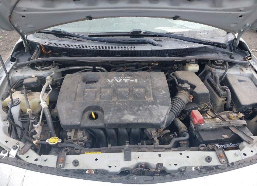 Photo 10 of 2010 Toyota Corolla S (VIN 2T1BU4EE9AC236792)