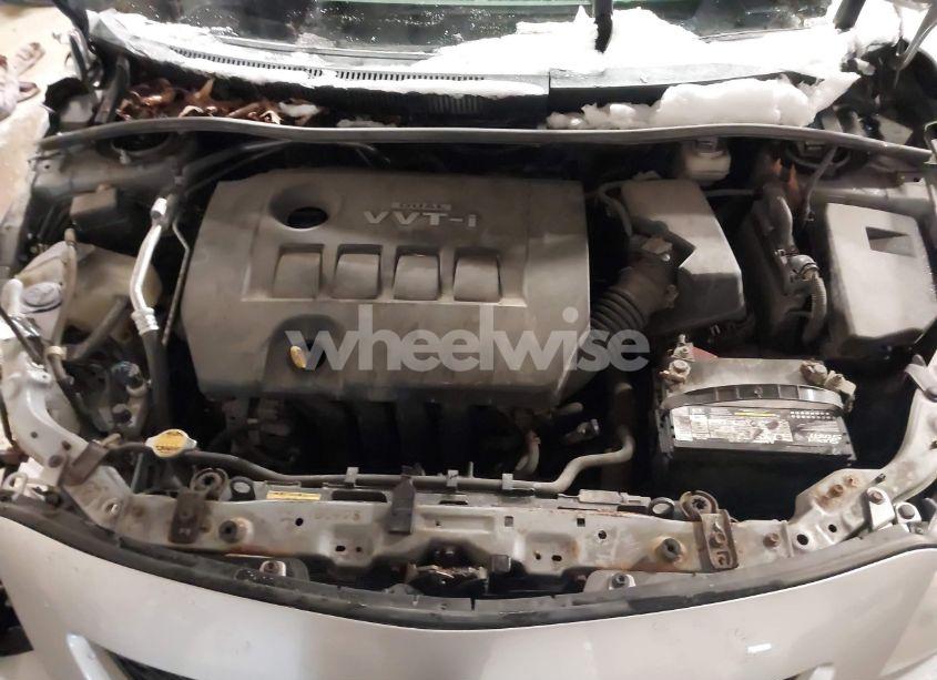 Photo 10 of 2010 Toyota Corolla LE (VIN 2T1BU4EE9AC267623)