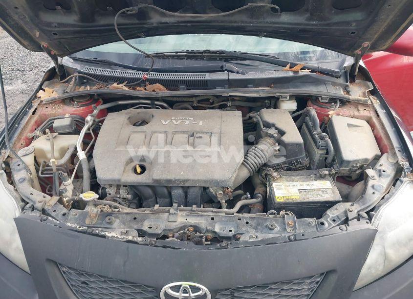 Photo 10 of 2010 Toyota Corolla LE (VIN 2T1BU4EE9AC283580)
