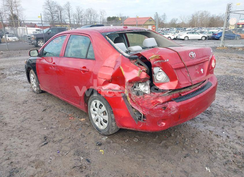 Photo 3 of 2010 Toyota Corolla LE (VIN 2T1BU4EE9AC283580)