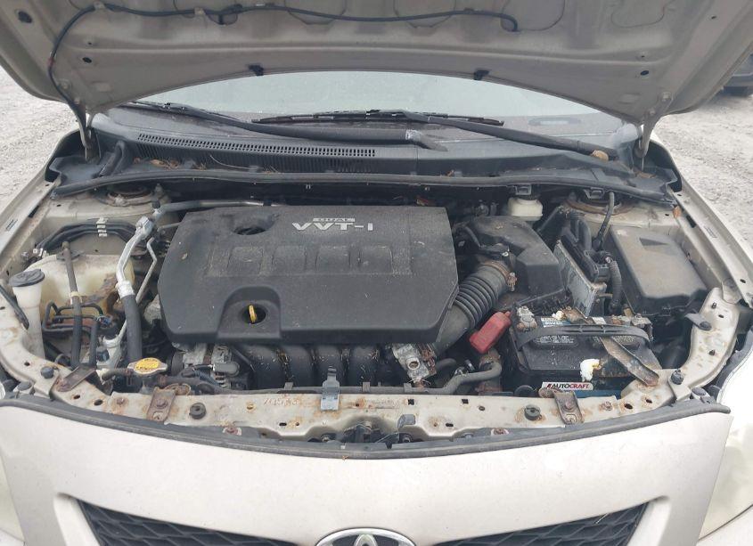 Photo 10 of 2010 Toyota Corolla LE (VIN 2T1BU4EE9AC300152)