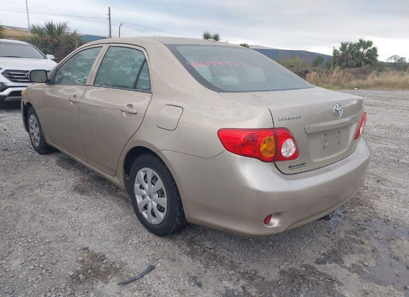Photo 3 of 2010 Toyota Corolla LE (VIN 2T1BU4EE9AC300152)