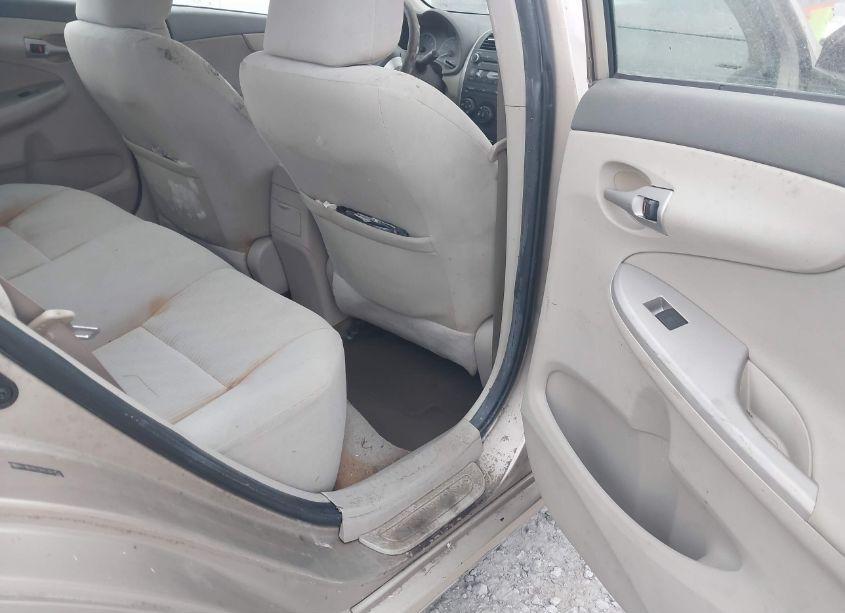 Photo 8 of 2010 Toyota Corolla LE (VIN 2T1BU4EE9AC300152)